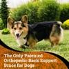 Dog Back Bracer Aid Recovery Flexible and Lightweight Promote Healing