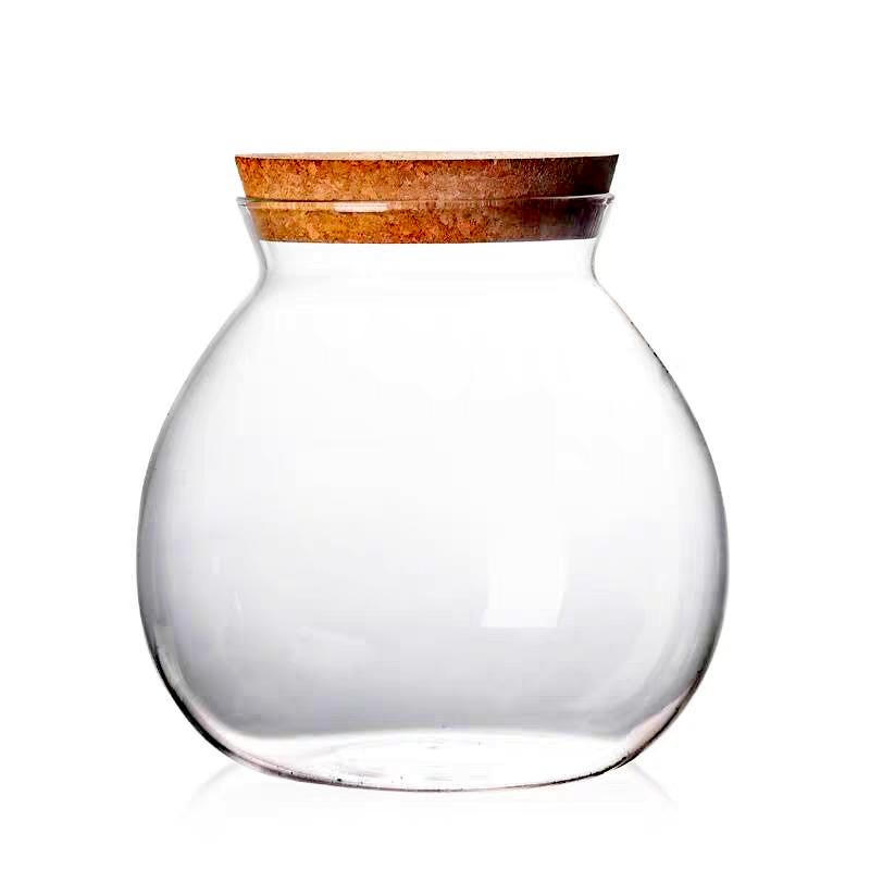 Micro Landscape Glass Bottles with Cork Lid Glass Vase Bryophyte Moss Plant Container Glass Terrarium Bonsai Desktop Decoration
