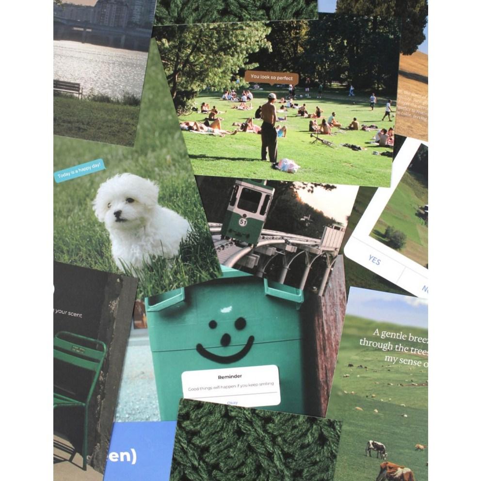 Rico's Object Deco Photo Postcard Set, Natural Green, 1 Set