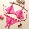 Sexy Lace Lingerie Set with Bowknot and Open Crotch, Women's Three-Point Style C06