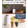 Panasonic Mixer Tumbler Smoothie Juice with Recipe Book Black MX-XP102-K