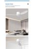 Minimalist Ceiling Fan Light for Living Room, Dining Room & Bedroom