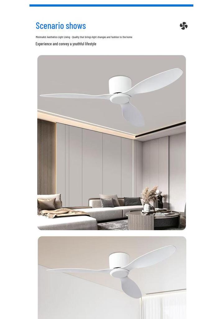 Minimalist Ceiling Fan Light for Living Room, Dining Room & Bedroom