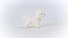 Schleich Farmworld Bichon Frize 13963