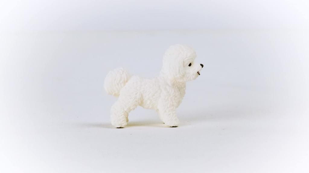 Schleich Farmworld Bichon Frize 13963