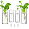 3Pack Wall Hanging Glass Planters Plant Terrarium Plants Holders Air Plants Wall Vase with Plastic Invisible Traceless Hangers