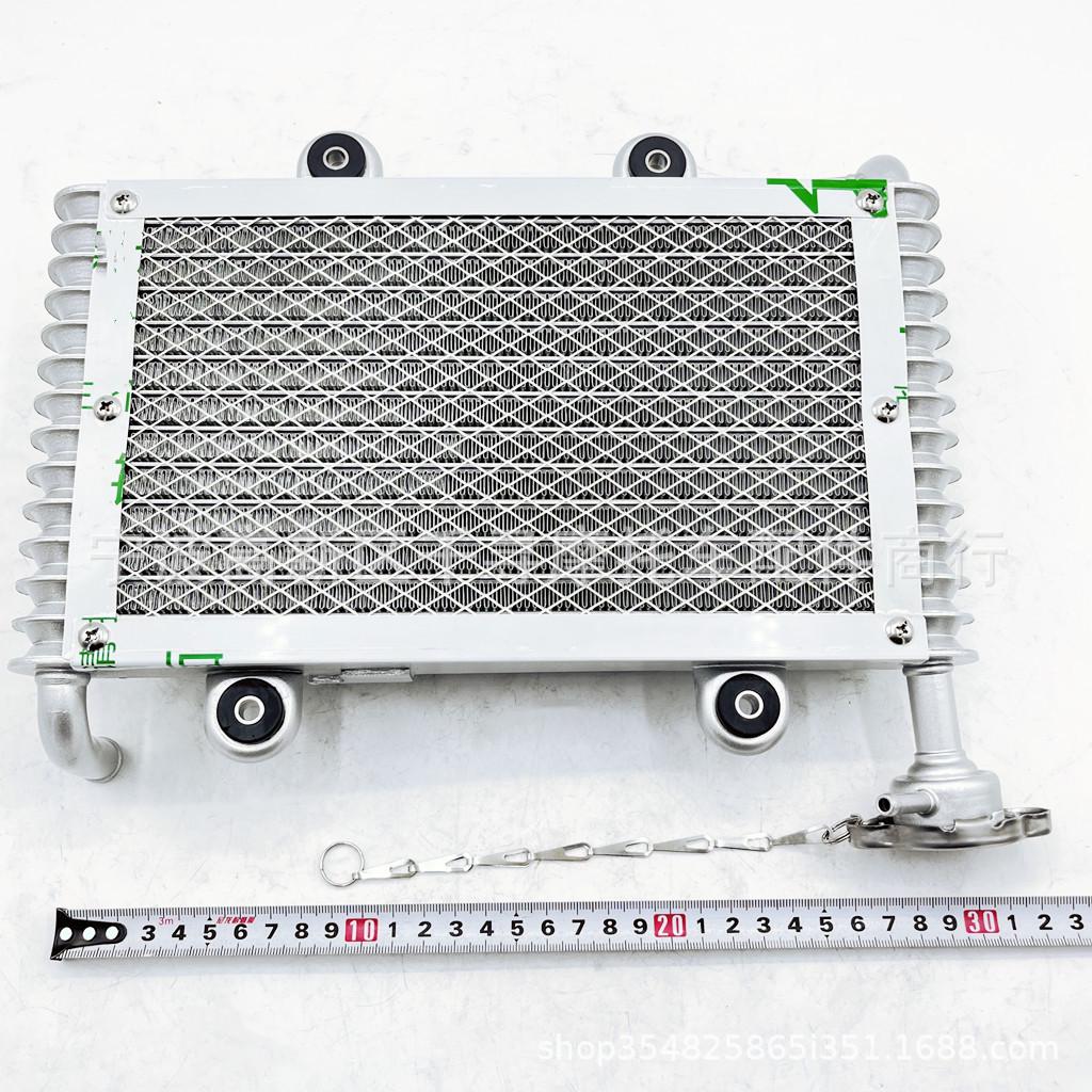 

Radiator for Bashan 200CC/250CC Motorcycles and ATVs R01017