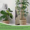 2PCS Half-Ring Plant Support Stakes U-Shaped Flower Support Rack Plant Grow Through Hoops  Garden