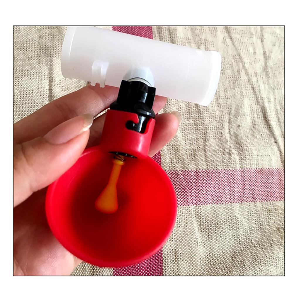 12 Pieces Drinking Bowl Poultry Drinker Ple Operation Watering Feeder