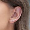 Ladies Romantic Fashionable Small Flower Earrings Daily Casual Delicate 3pcs/Sale Shiny CZ Piercing Jewelry Party Birthday Gifts
