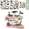 Detailed Pvc Frog Turtle Lizard Snake Chameleon Model Set For Nature Enthusiasts And Collectors