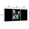 Glass Hob Protector 3x30x52