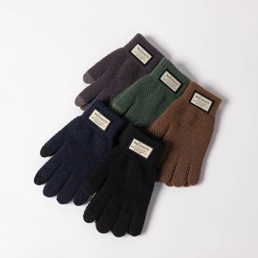 New Autumn and Winter Thickened Gloves Korean Style Cold-proof Cycling Touch Screen Warm Wool Knitted Gloves