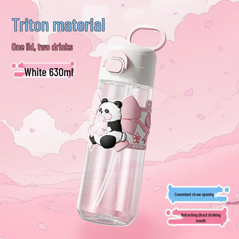 Dileber Insulated Student Water Bottle