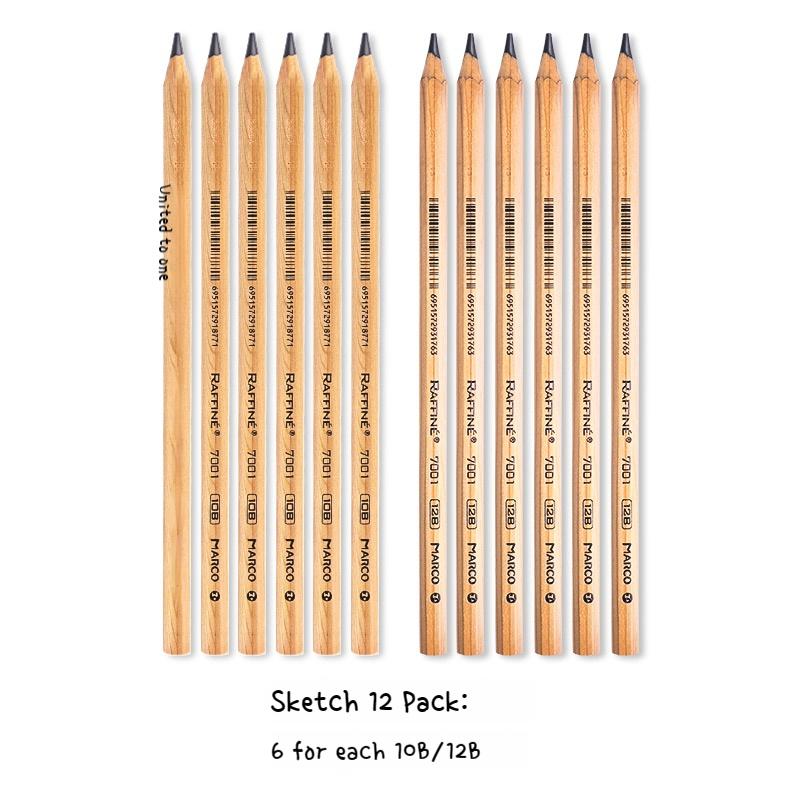 12Pcs Professional Drawing Sketch Pencil Set HB 2H 2B 3B 4B 5B 6B 7B 8B 10B 12B 14B Graphite Hand-Painted Pen School Stationery