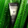BARON Moringa Scalp Scaling Shampoo 200ml