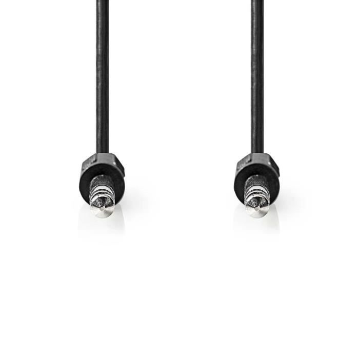 Câble audio stéréo Nedis CAGL23000BK20 2.00 m - Noir - Plaqué nickel