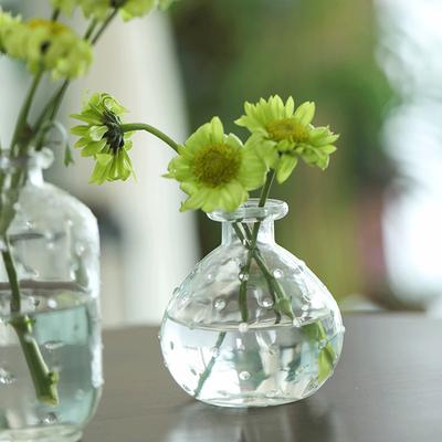 Mini Glas Blumenvase Klare Vasen Hydroponische Blumenflaschen Schreibtischzubehör Hochzeitsvasen Schmuckstück Heimdeko