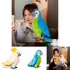 Colorful Parrot Plush Toy Pillow Wholesale Gift With Logo Cartoon Animal Decorative Ornament 25cm 0.2kg