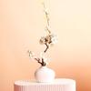 Mini White Matte Ceramic Vase for Dried Flowers - Nordic Hydroponic Home Decoration