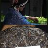 2022 Haiwan Pa Sha Ancient Tree Raw Purerh Chinese Tea Famous Mountain Aged Tree Sheng Pu'er Chinese Tea 500g