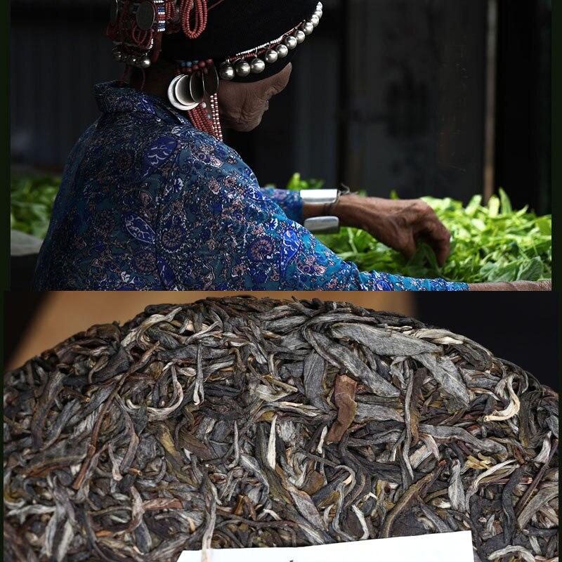 2022 Haiwan Pa Sha Ancient Tree Raw Purerh Chinese Tea Famous Mountain Aged Tree Sheng Pu'er Chinese Tea 500g