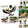 Wildlife Animal Model Solid Plastic Parrot Bird Display Figure For Kids Playroom Decor