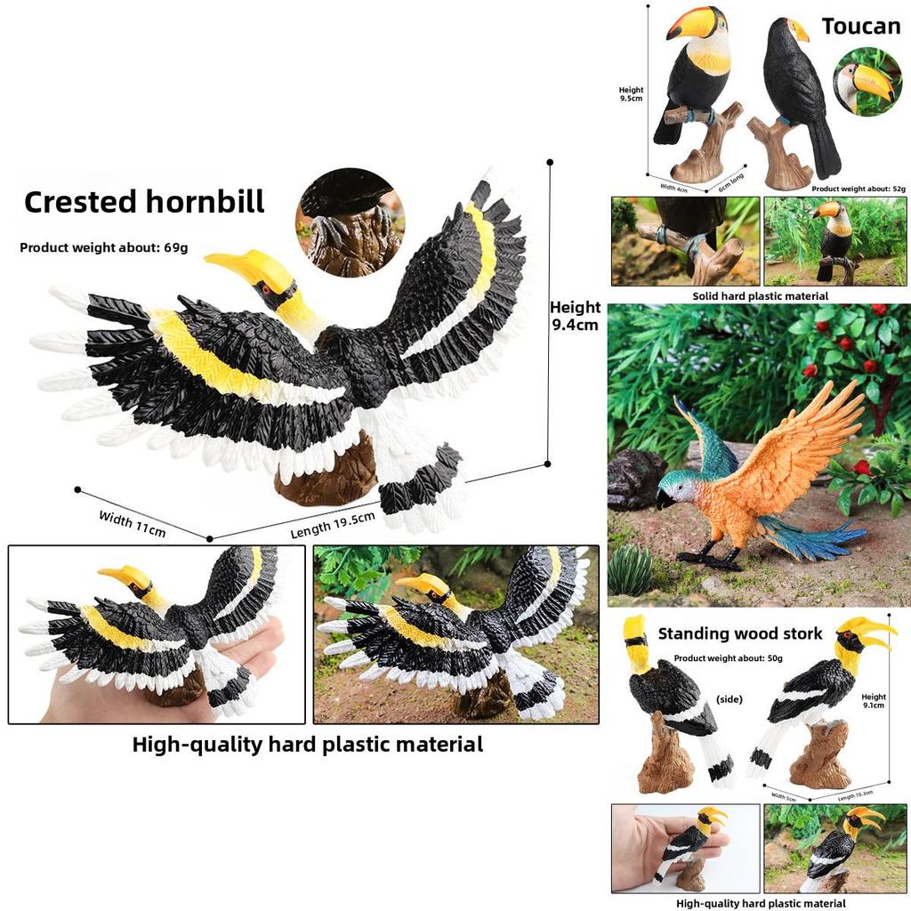 Wildlife Animal Model Solid Plastic Parrot Bird Display Figure For Kids Playroom Decor