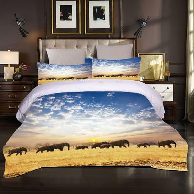Biancheria da letto – Completi lenzuola e set da letto