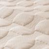 Leather Sofa Cover Cover Cloth Towel Autumn and Winter Light Luxury Advanced Sense Solid Color Thickened Non-Slip Cushion