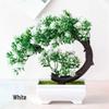 Mini Potted Grass Bonsai: Cherry Snowball Home Decor Ornament