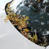 Copertura Parabrezza Auto Universale M/L Foglie Ghiaccio Neve Rete Protezione Tenda Parasole Canale Pioggia Tergicristallo Copertura Polvere