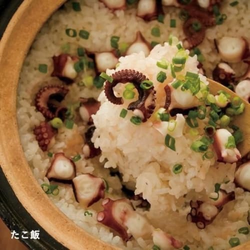 Hase-en Kamadosan Donabe (Earthenware Pot) - 3-cup capacity, approximately 24cm diameter x 16cm height, Iga-yaki, rice cooker, includes cooking recipe