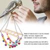 Pet Small Birds Parrot Acrylic Chain Ladder Hanging Bridge Swing Bite Climbing Toy with Bells
