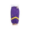 Nike Los Angeles Lakers Dri-FIT NBA Color Block Logo Training Straight Leg Basketball Pants Men bottoms Deep-Purple DZ3722-504