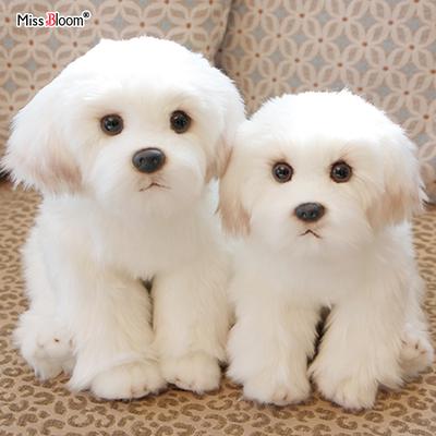 Maltese Stuffed Dog Dolls Plush Toy Cute Simulation Pets Fluffy Baby Birthday Gifts Christmas Children Malzis Puppy