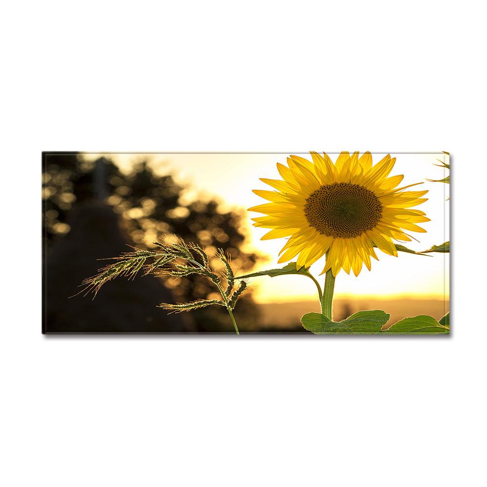 Scenic Sand Wardrobe Shoe Cabinet Long Floor Mat