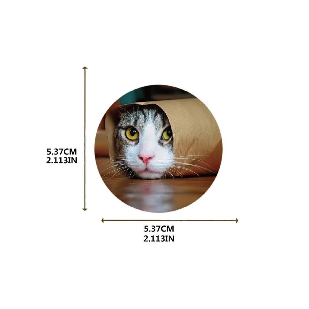 50-Pack Waterproof Internet Cat Meme Stickers for Notebook, Phone, Water Bottle