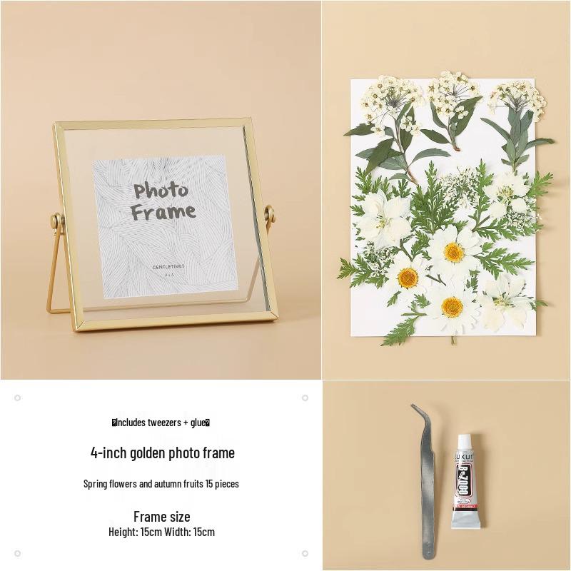Nordic Creative DIY 3D Dried Flower Frame Kit - Simple Metal & Glass with Glue