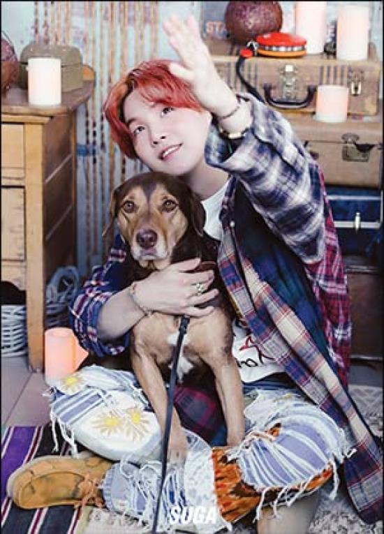 SUGA Goods 12 Posters 1 Sticker Set + (SUGA)