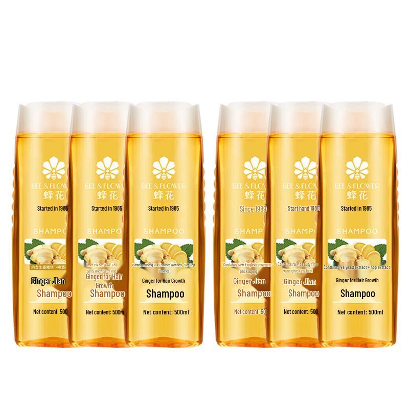 Fenghua Ginger Anti-Dandruff & Oil Control Shampoo