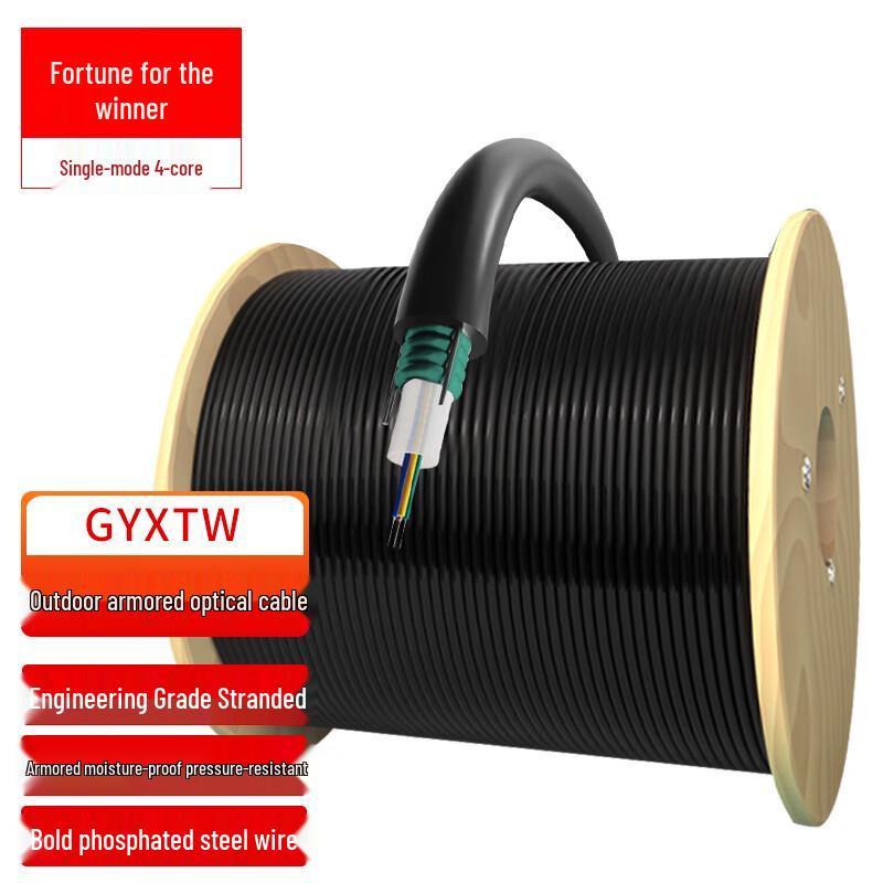 FUWEISHENG Outdoor GYXTW Armored Fiber Optic Cable 1 meter