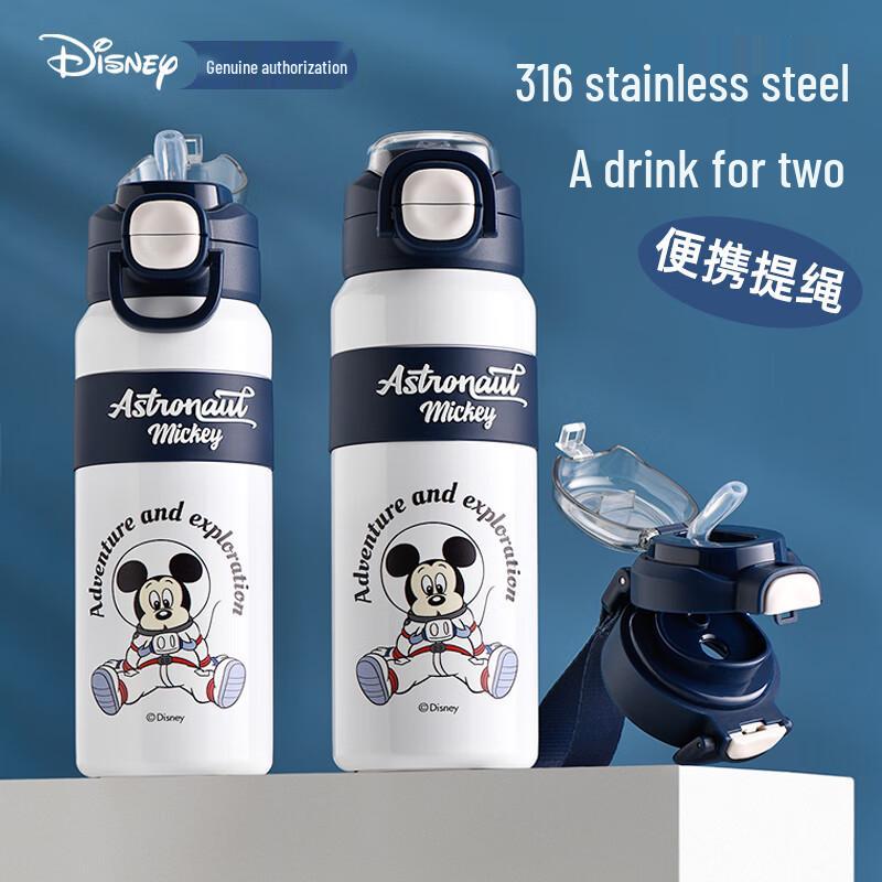 Disney 316 Stainless Steel Insulated Kids Dual-Drink Bottle
