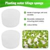 M-Modern-50 Pcs Hydroponic Sponge Overground, Soilless Hydroponics Vegetable Growing System Greenhouse Plant Gardening Tool 50Mm