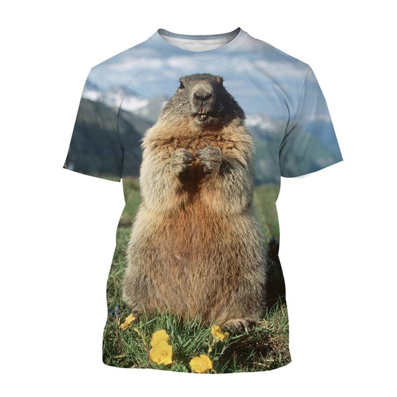 

Cute Animal Groundhog 3d Printing T Shirt For Men Kids Casual Street Short-sleeved T-shirt Tops Summer Street Oversized Tees S