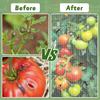 Garden Netting Plant Cover Square Tomato Cage Cover Breathable Mesh Insect Bird Barrier Netting with Zipper And Drawstring for Protecting Plants