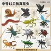 School Insect Model Set, Butterfly Ladybug Rhinoceros Beetle Bee Grasshopper Cognitive Toy