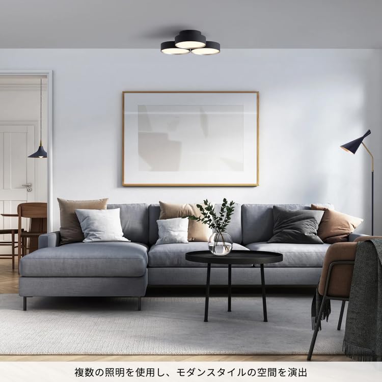 Artwork Studio Phantom LED Ceiling Light, 8-tatami Room Size [LED Bulb Included], 40,000 Hours, Dimmable, Color Adjustable (warmwhite), Indirect