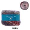 SKIYARN Yarn Color Autumn/Winter "Piaccio 702"