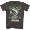 Взрослая футболка Aerosmith Rockstar Smoke